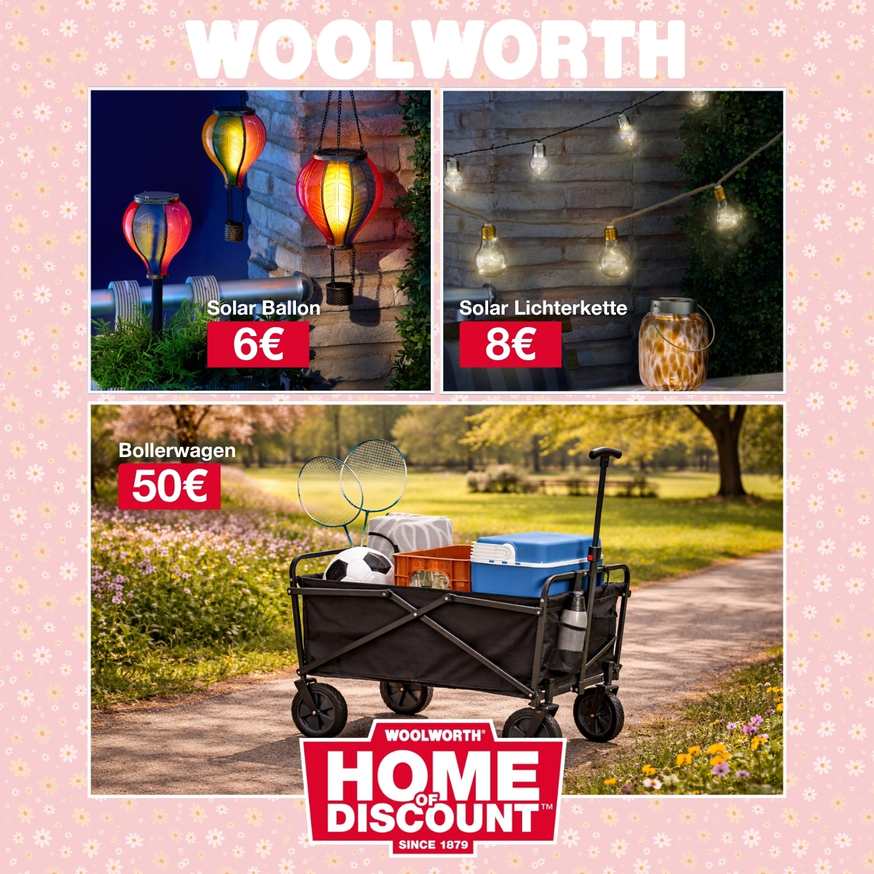 Aktuelles & Angebote 1